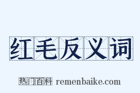 红毛反义词是什么意思的图片